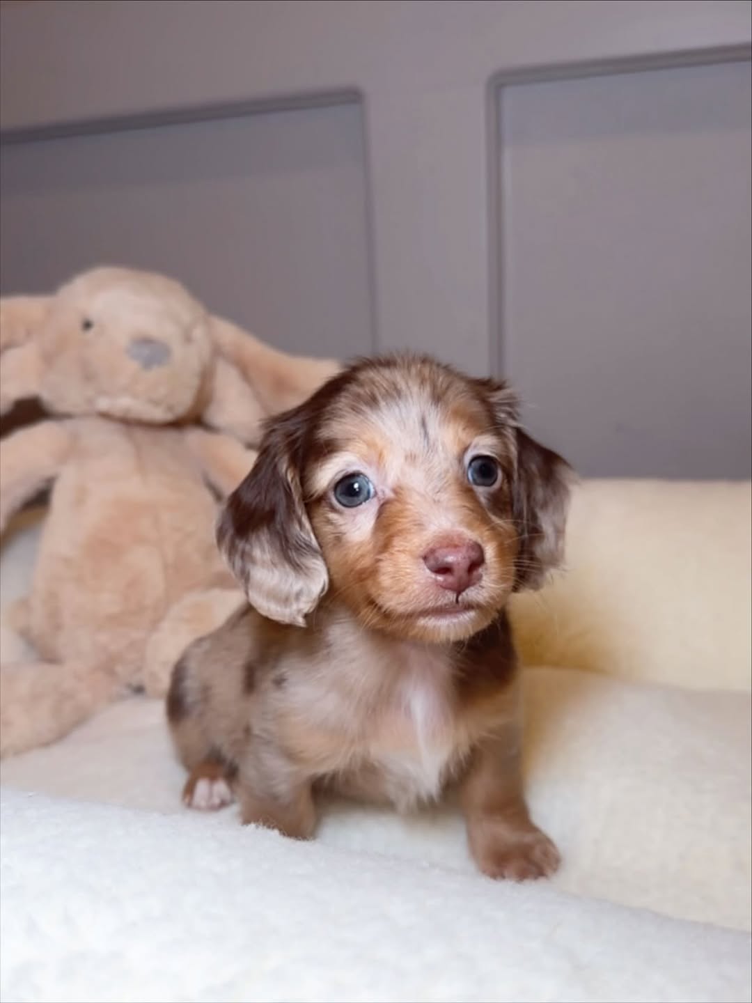 Charlie