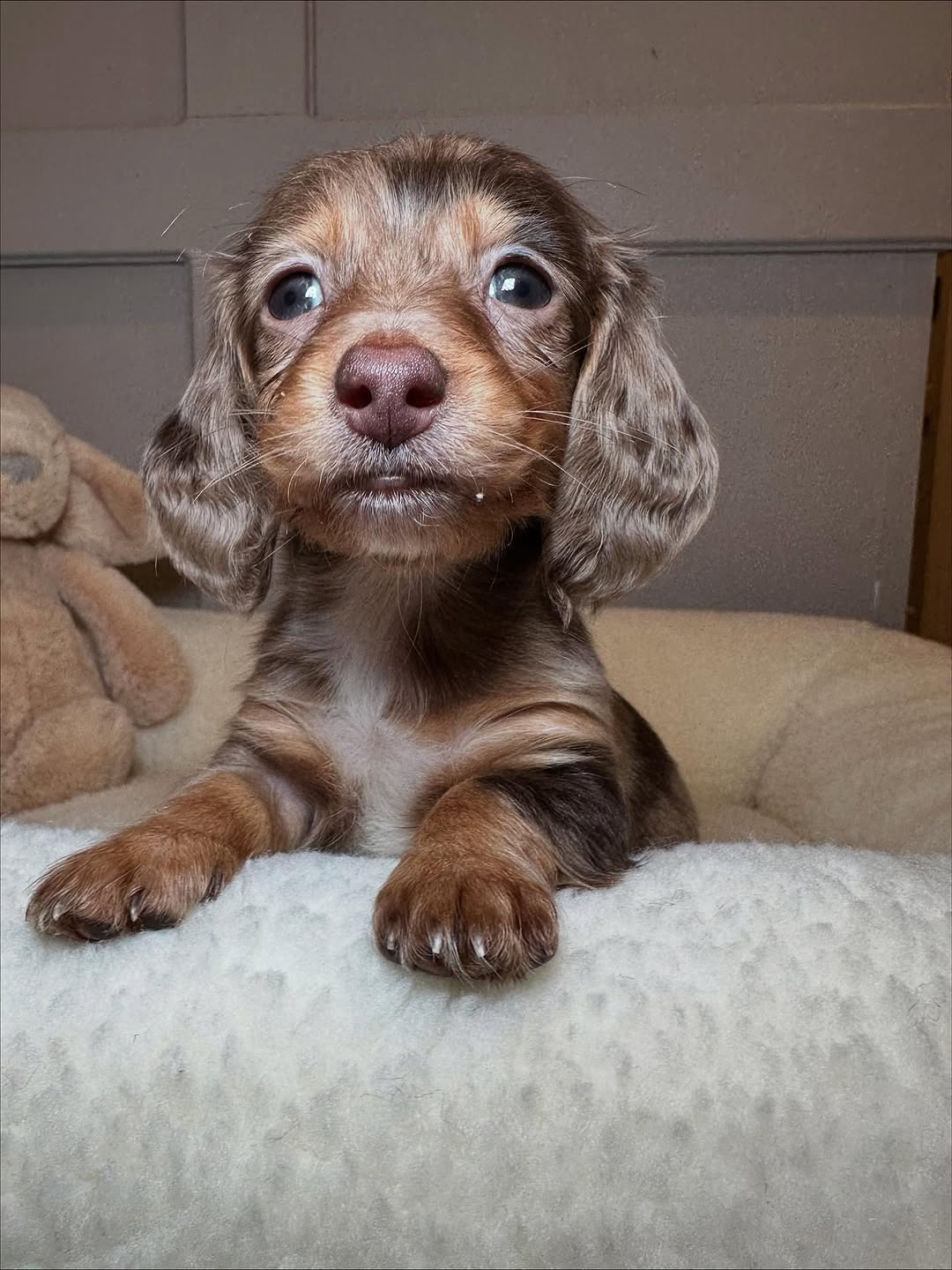 Charlie